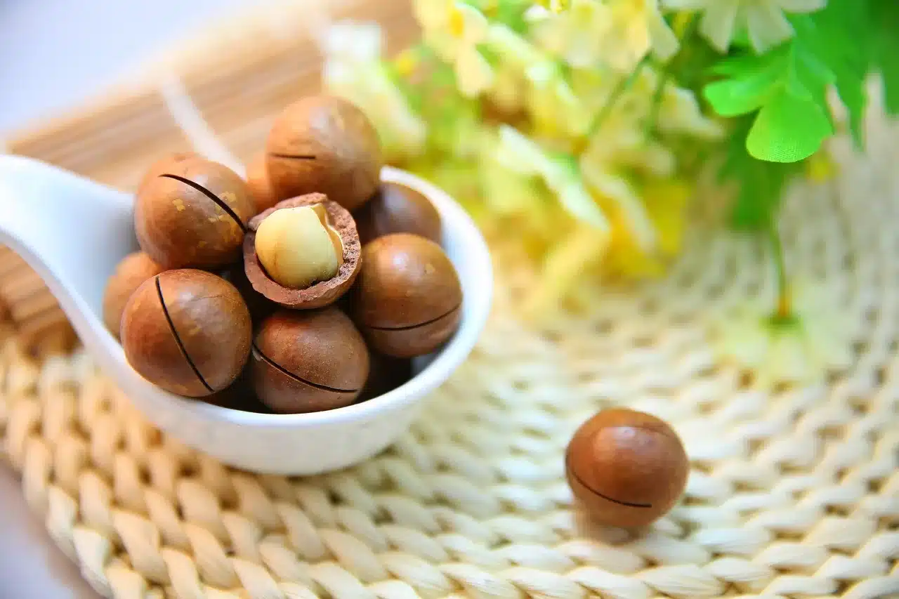 portable protein snacks - Eating Bird Food